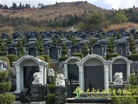 东川公墓常见的墓葬形式有哪几种？