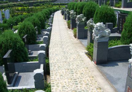 东川公墓带你了解国家为什么要大力推广公墓